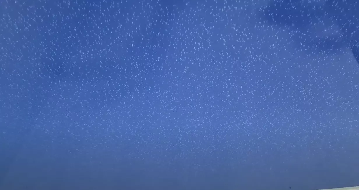 Белгород, улица Князя Трубецкого, 18, фото 3