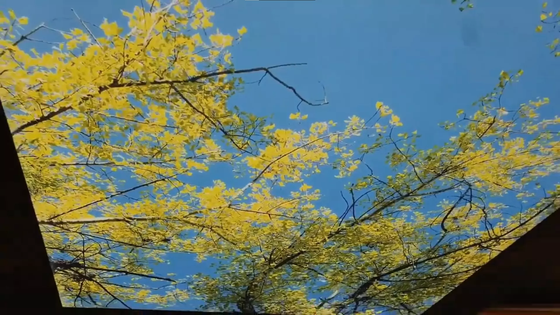 Абакан, , фото 2